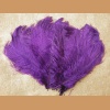 Ostrich feather,purple