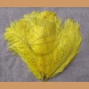  Ostrich feather, yellow